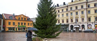 Ingen julgran på Stora torget