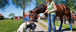 Här går vägen till Elitloppet