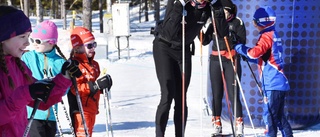 Skidkul med stjärnorna