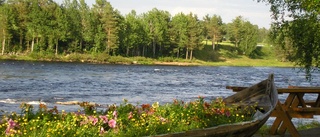 Tornedalen som Jarhois