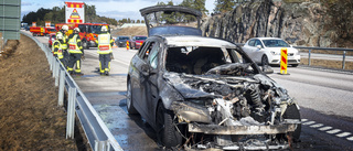 Räddade katten i branddrama