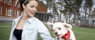 Hund-ra gånger roligare att dansa med hund