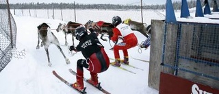 Fullt drag i renflocken