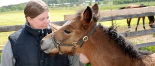 Fostermor i rakt nedstigande led