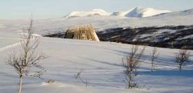 Arkitektur på naturens villkor