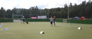 Fullt fokus på rallylydnad