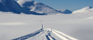 Skoterkrasch i fjällen – man skadad