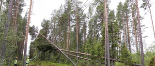 Uppröjning i stormens spår