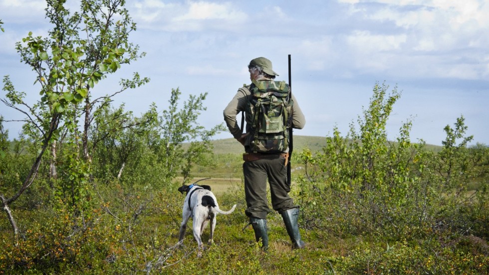 I brevet till renmarkskommittén skriver länsstyrelserna att de bedömer att det fortsatt är nödvändigt med en sammanhållen förvaltning av jakt och fiske. Det har fått samebyar att ilskna till.