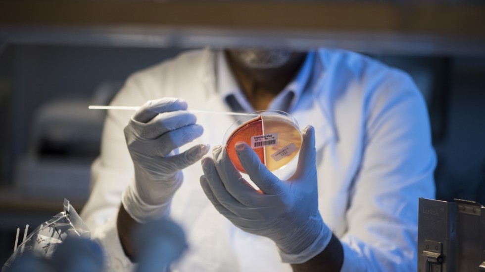 Provtagning för coronavirus.