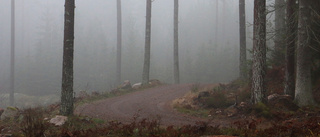 Skogsstyrelsen och markägaren är överens