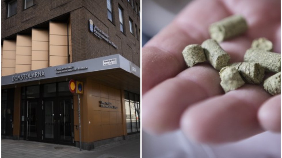 Kvinnan ville ha hemtjänst från kommunen för att få lyfthjälp i bostaden och att transporter till soptippen. Nej säger förvaltningsrätten som menar att kvinnan får lösa det hela själv.