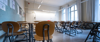 Mindre skolk med stängda skolor