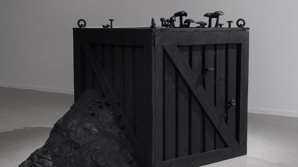 Svampen hamnar i fokus när kulturen blir digital med utställningen "Black box" på kulturhuset Möbeln i Tierp. 