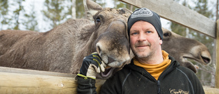 Cape wild känner av effekterna av coronakrisen