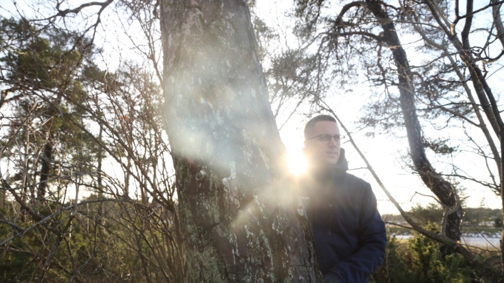 Mäklaren Jacob Wallin Sander har märkt hur intresset för mindre skogsfastigheter ökat den senaste tiden. Det finns flera anledningar till att köpa skog. Jakträtt lockar många.