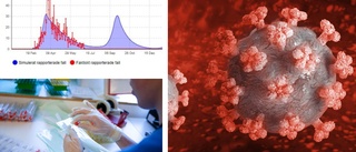 Tre olika scenarier – så kan pandemin utvecklas i länet