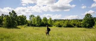 Värna om den biologiska mångfalden