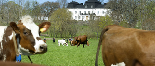 Fyra frågor till Sörmlands Naturbruk får svar 