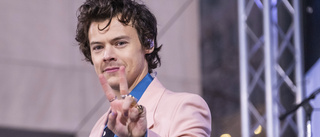 Harry Styles i ny thriller