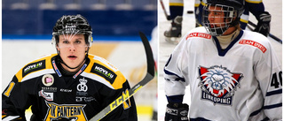 LHC-arna startade företag – för andra ishockeyspelare