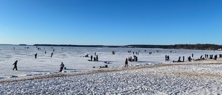 Varamon i istider: Så skötte sig besökarna