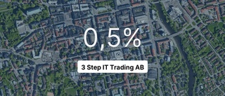 3 Step IT Trading AB på rätt sida strecket