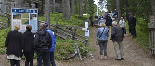 Livlig helg i stilla miljö