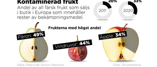 Rapport: Farliga ämnen i vartannat päron