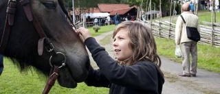 Gammalsvenskt i Vånga