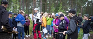 Trä-vligt och lärorikt i skogen