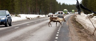 Blinkande stolpar med förhinder