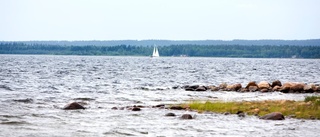 Kallfjärden första marina naturreservatet