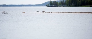 Buller från snöskotrar stör byborna