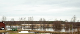 Grävde av vägen för att rädda bron