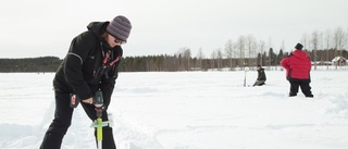 Inga sura miner trots brist på fisk