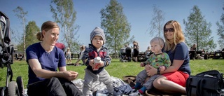 Spirande vårkänslor vid betessläppet