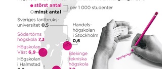 Rekordmånga studenter avstängda för fusk