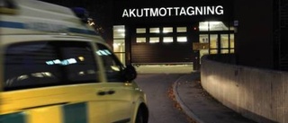 Normalt år för räddningstjänsten