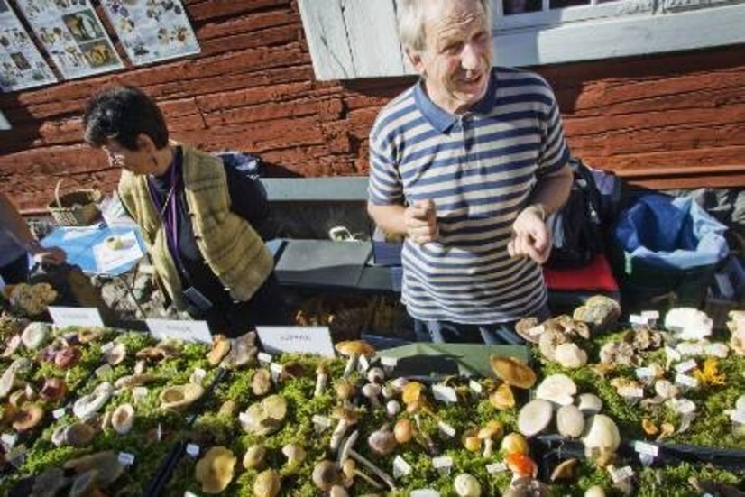 Svampexperten Claes-Göran Nilsson  visade vad han hittat i skogen.