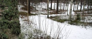 Förbättrad promenadstig utmed sjön Gron