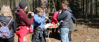 Femkamp för scouter