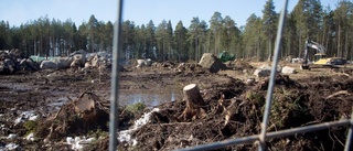 Pitebo AB misstänks för miljöbrott