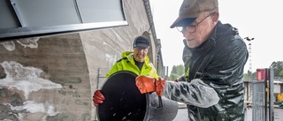 Öringar får nytt hem i Lillpiteälven