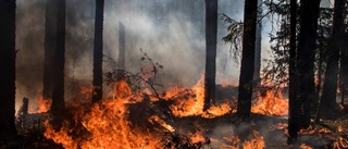 Anlagd skogsbrand nära Svärtinge