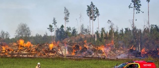 Varningen: förhöjd risk för skogsbrand