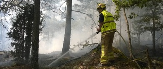 Skogbrand vid Svinstadsjön släckt