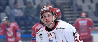 Ranking: Här är Hockeyallsvenskans bästa spelare