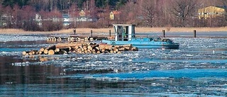 Kisasjön fylls med stormfälld skog