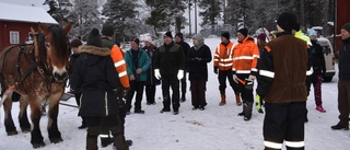 De lär sig låta hästarna göra jobbet